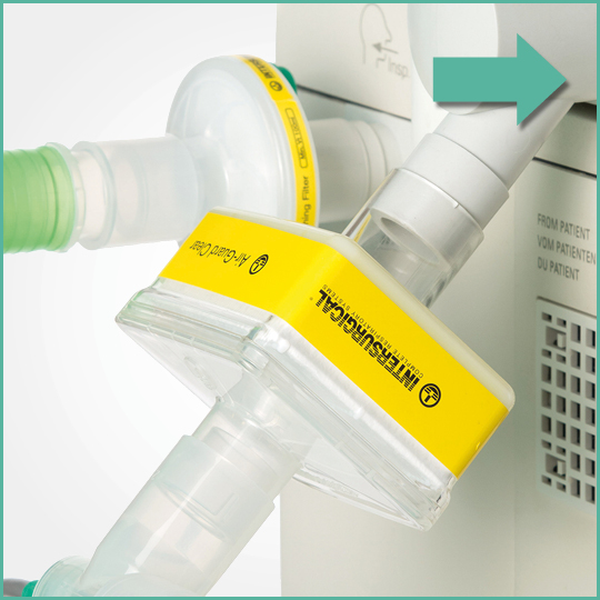 covid-19-statement-individual-image-2