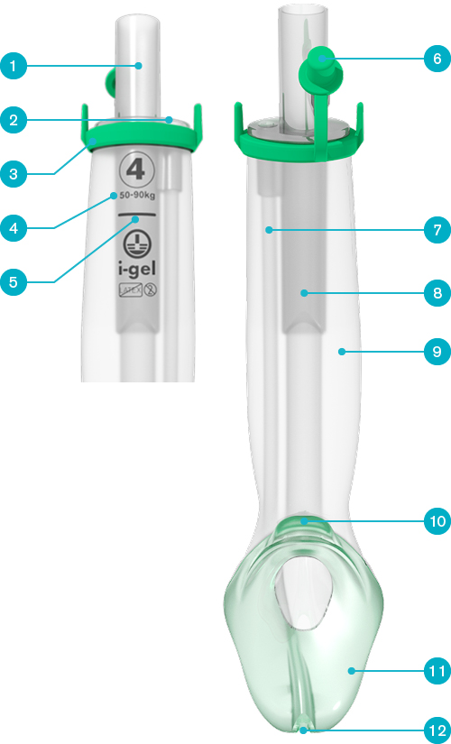 igel_o2_features_and_benefits_image_3_in_a_row