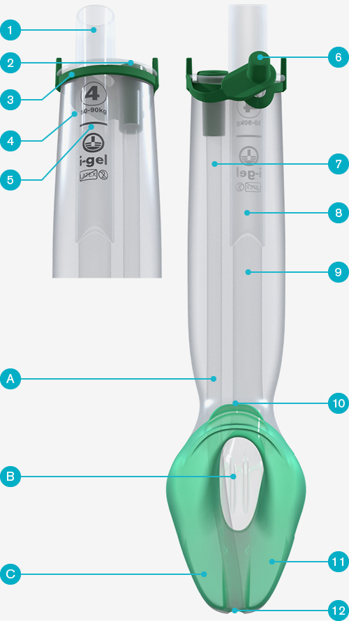 Igel_plus_features_and_benefits_image