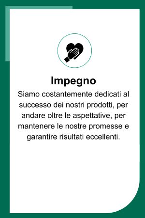 IT-Working-at-intersurgical-Committed-value-image