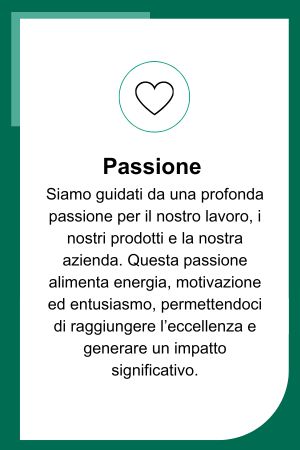 IT-Working-at-intersurgical-passionate-value-image